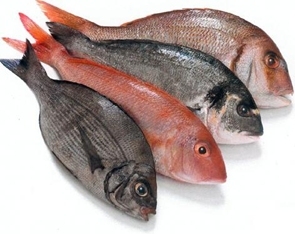 Freezing Mashed Fish